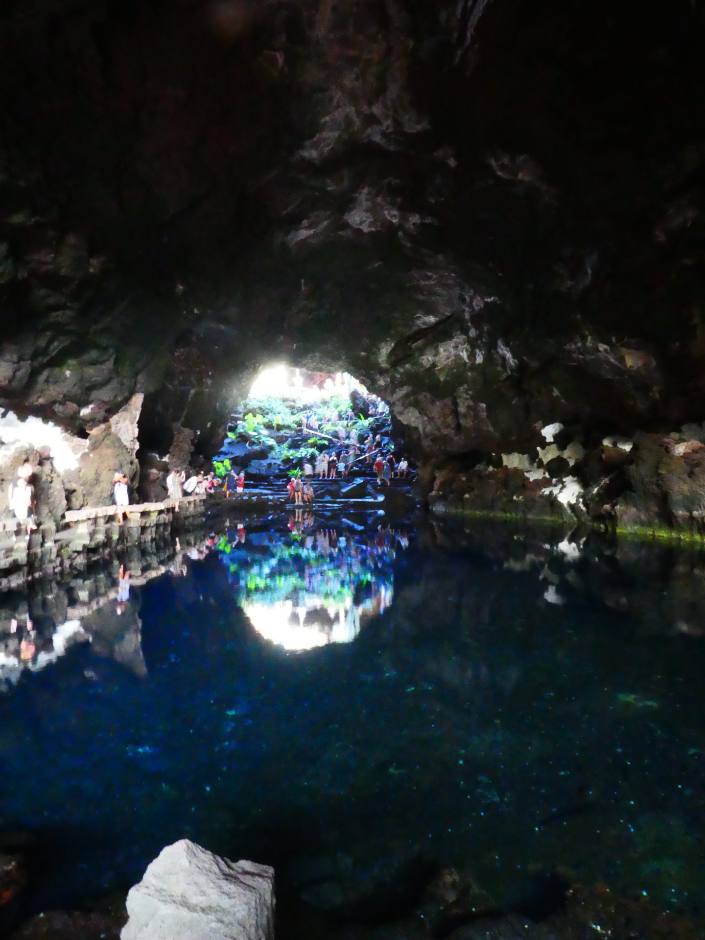 Que faire sur l'île de Lanzarote, Jameos del Agua, grotte crevettes albinos