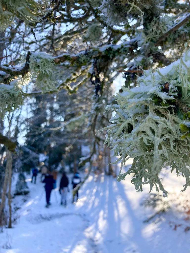 695c8577-a10a-44e7-a95d-f1ce385532dd